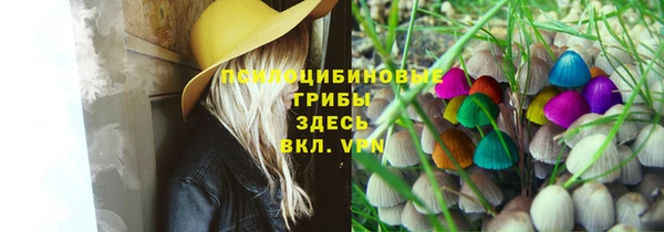 первитин Алексеевка