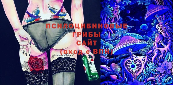 первитин Алексеевка